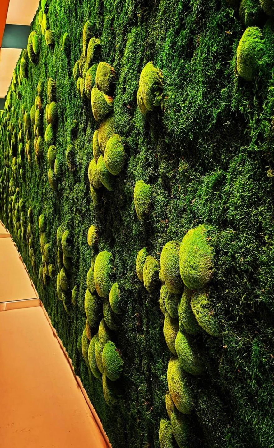 Stabilize Bitki ve Yosun Duvar