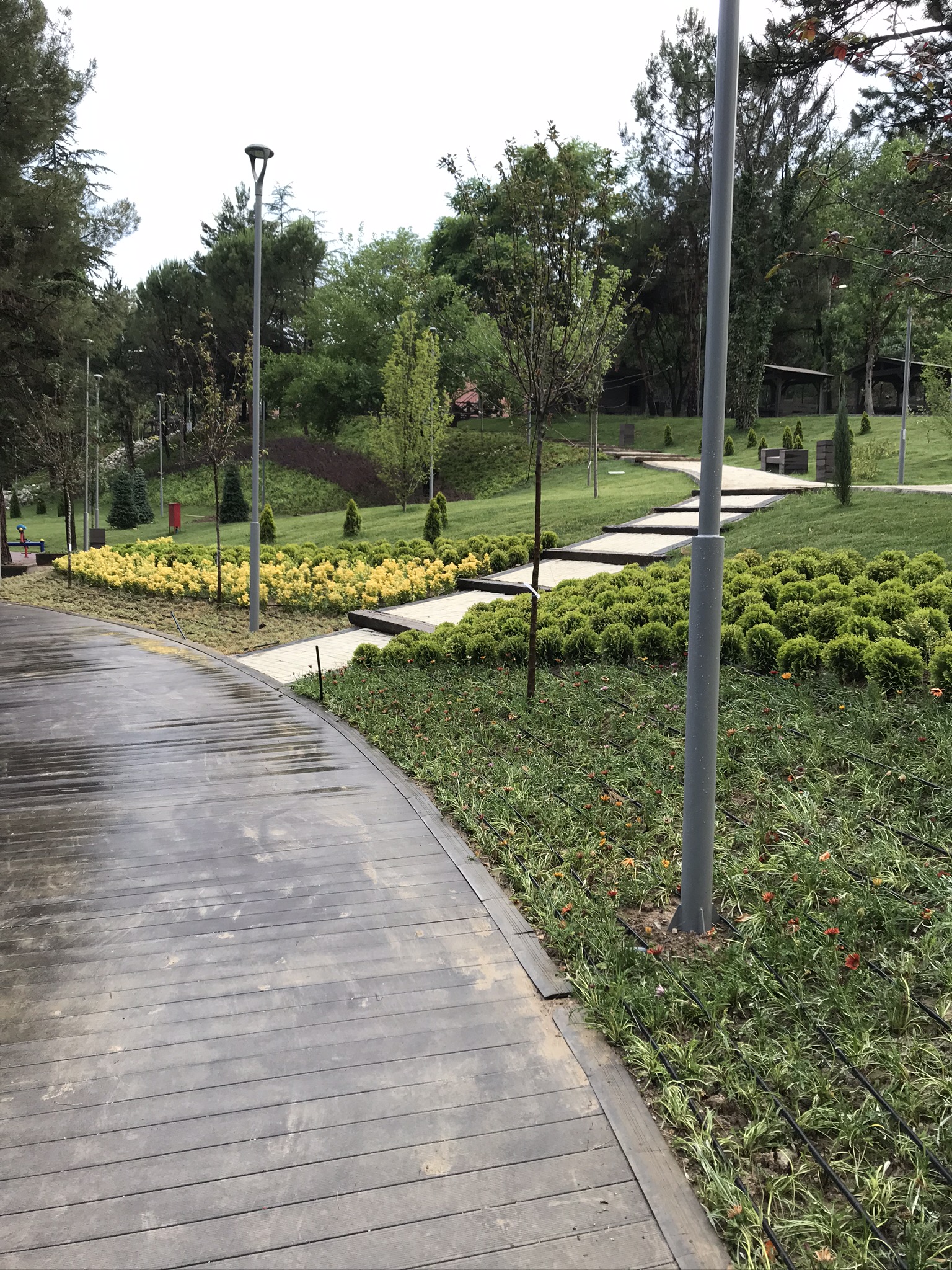 Saraçoğlu Projesi 6