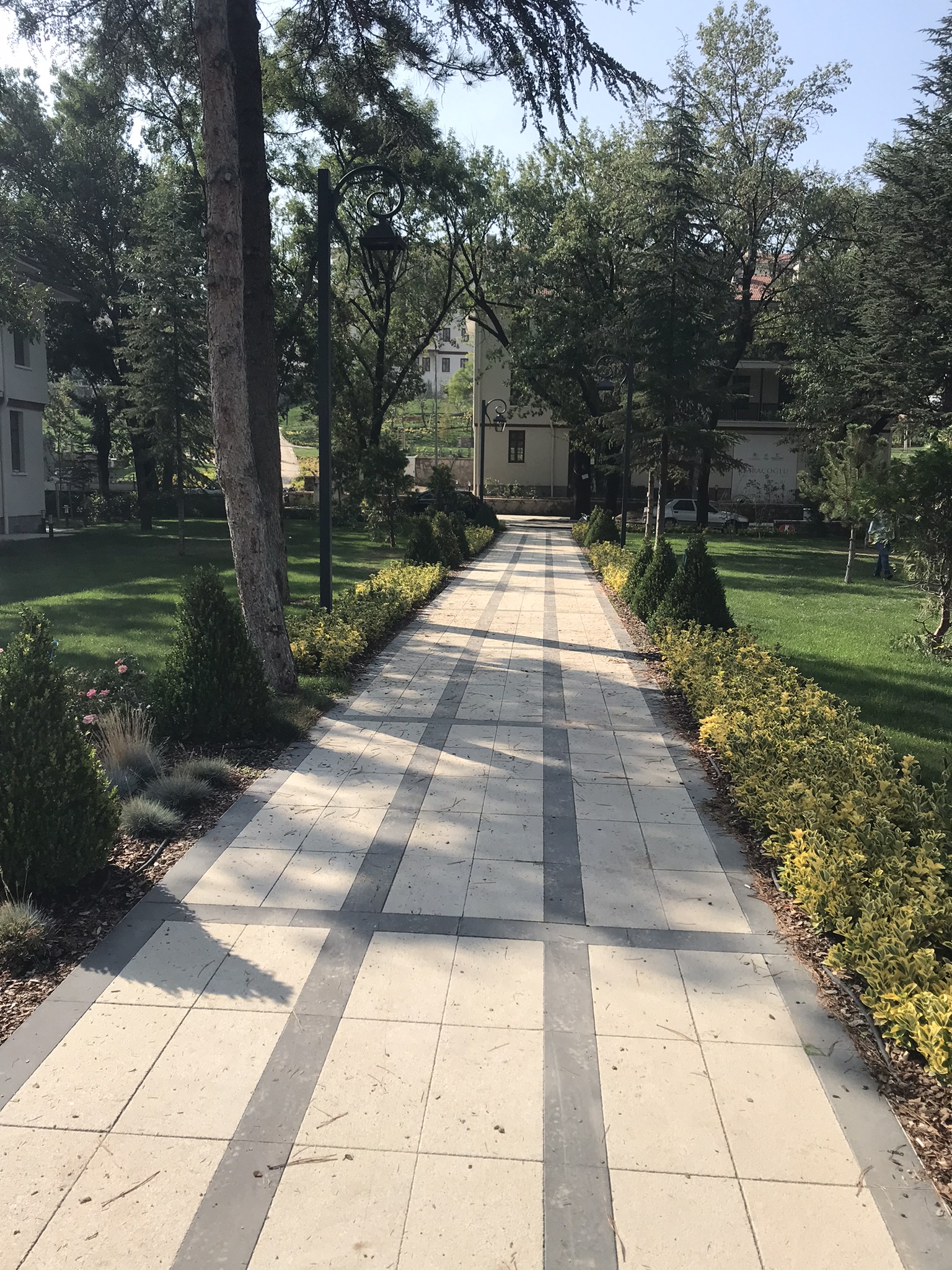 Saraçoğlu Projesi 7