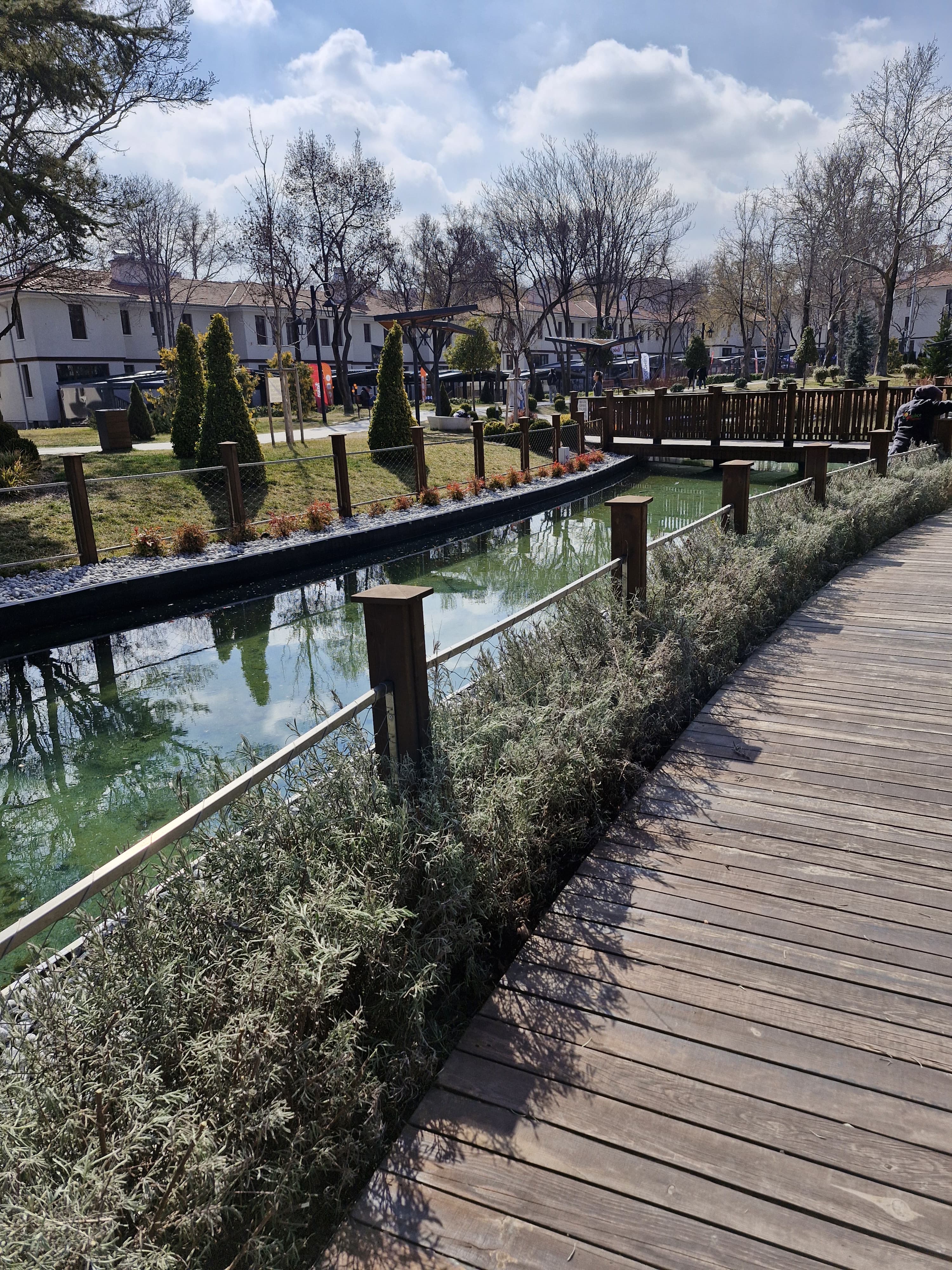 Saraçoğlu Projesi 1