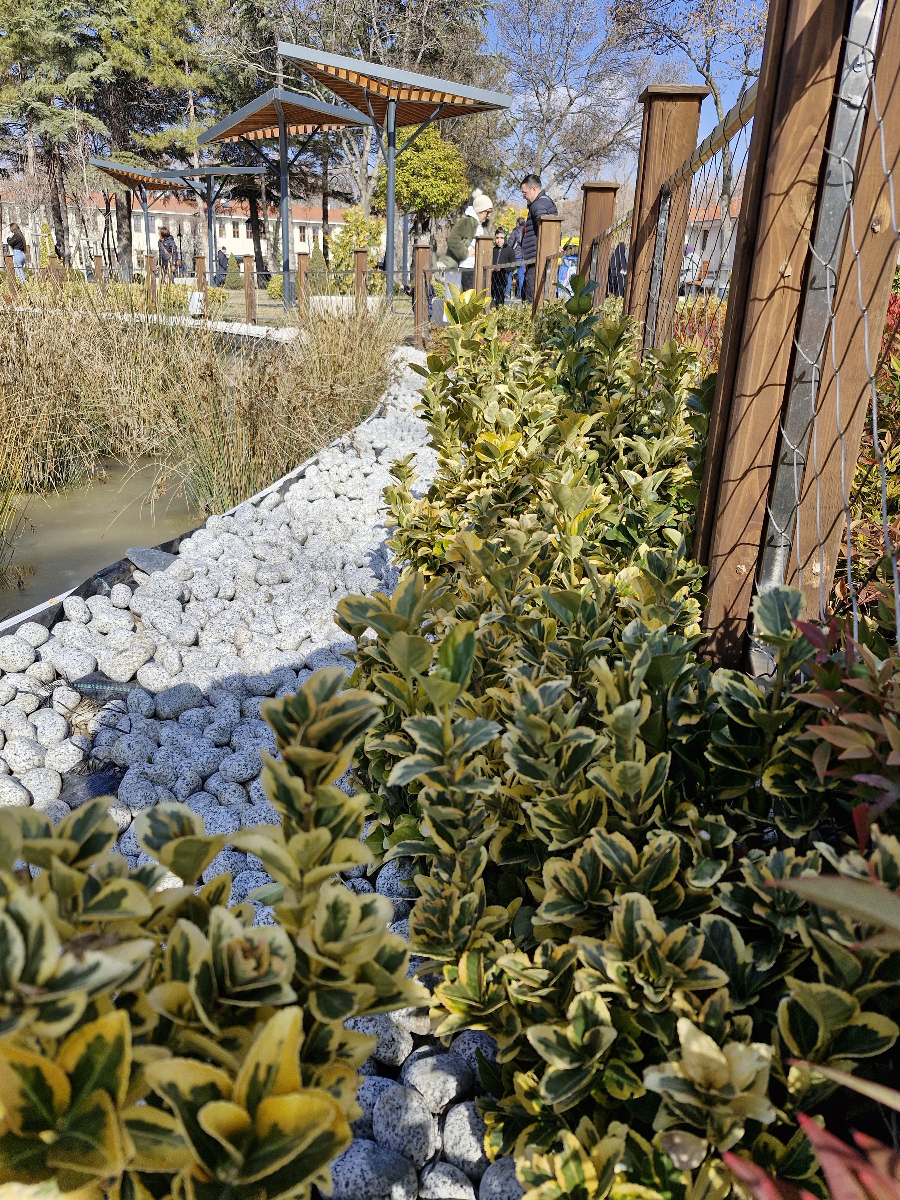 Saraçoğlu Projesi 2