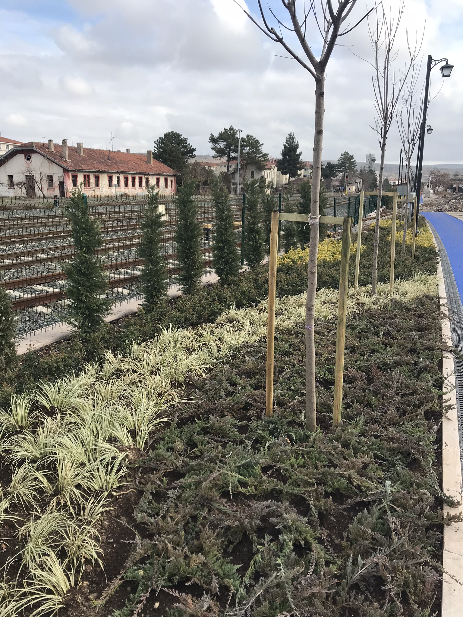 Saraçoğlu Projesi 1