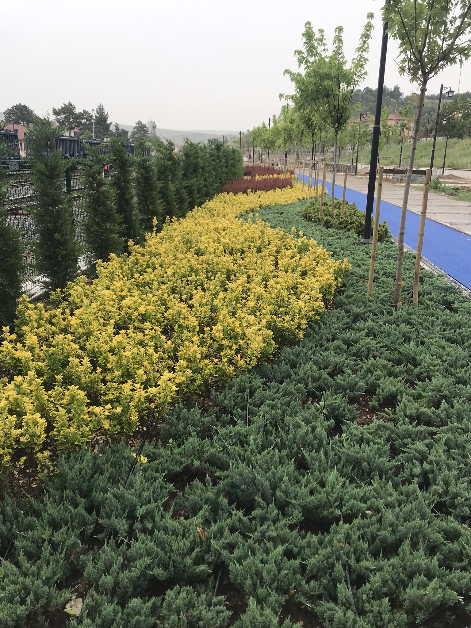 Saraçoğlu Projesi 6